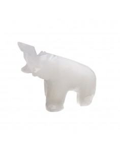 Grande famille d'éléphants...