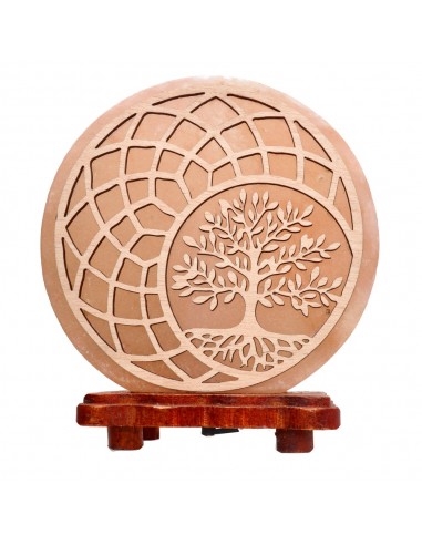 Cosmic Seed Salt Lamp