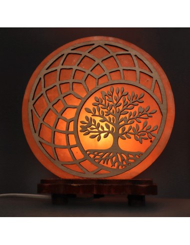 Cosmic Seed Salt Lamp