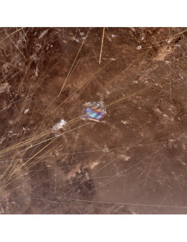 Cuarzo Ahumado Rutilado Pulido (CR6)