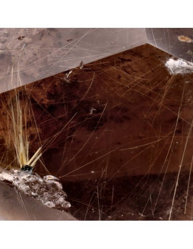 Quartz Rutilé Fumé Poli (CR12)