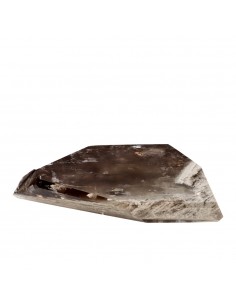 Smoky Quartz with Lodolite...