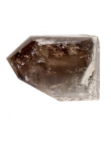 Smoky Quartz with Lodolite (CR22)