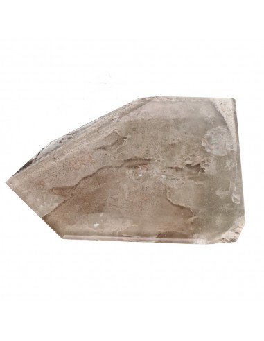 Smoky Quartz with Lodolite (CR22)