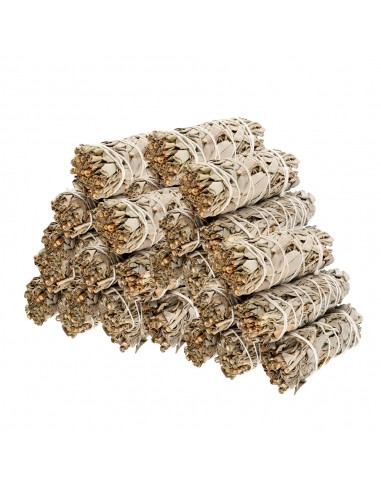 Sauge de Californie (Salvia Apiana)