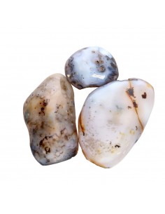 Ágata dendrítica semi-polida 2