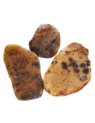 Ágata Dendrítica Semipulida