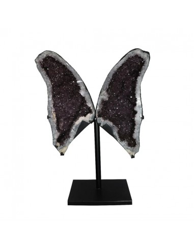 Asas de ametista PA982