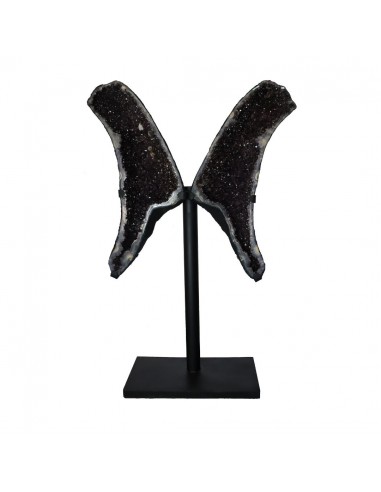 Asas de ametista PA983