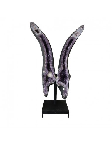 Ailes d'améthyste PA984