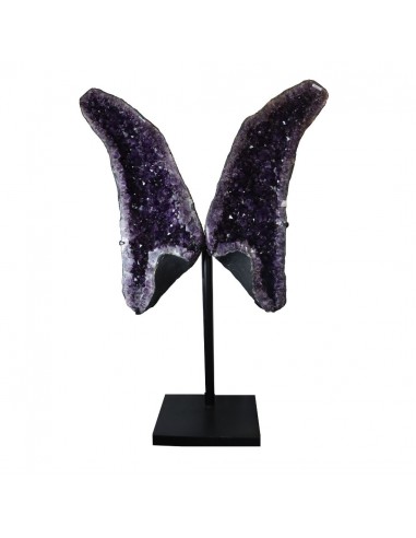 Asas de ametista PA985