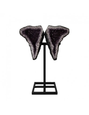 Ailes d'améthyste PA987