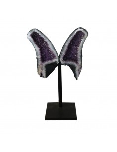 Asas de ametista PA988