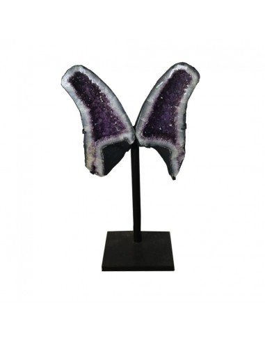 Asas de ametista PA988