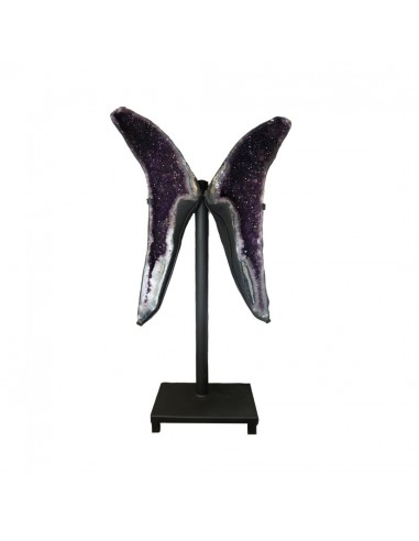 Ailes d'améthyste PA989