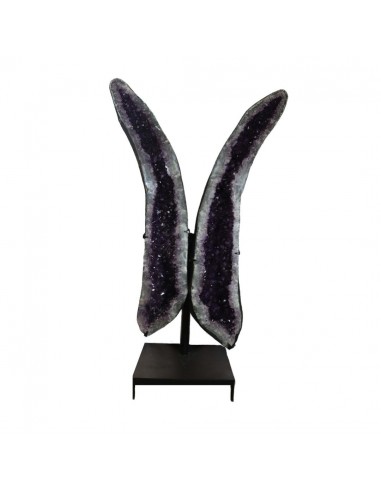 Asas de ametista PA994