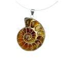 Pendentif Ammonite