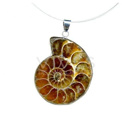 Pendentif Ammonite