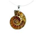 Pendentif Ammonite