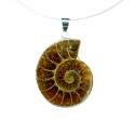 Pendentif Ammonite