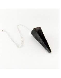 Pendulum Faceted of Shungite 2