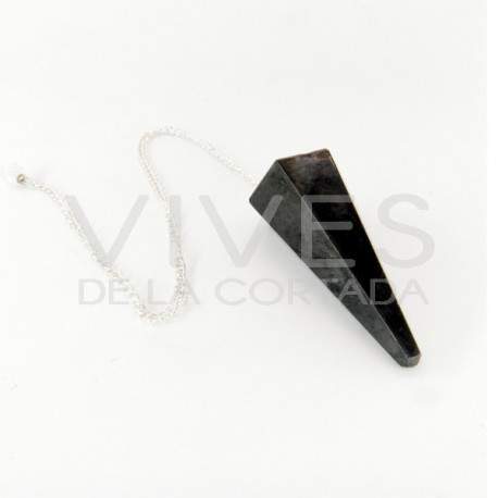 Pendulum Faceted of Shungite