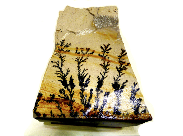 pirolusita dendritica