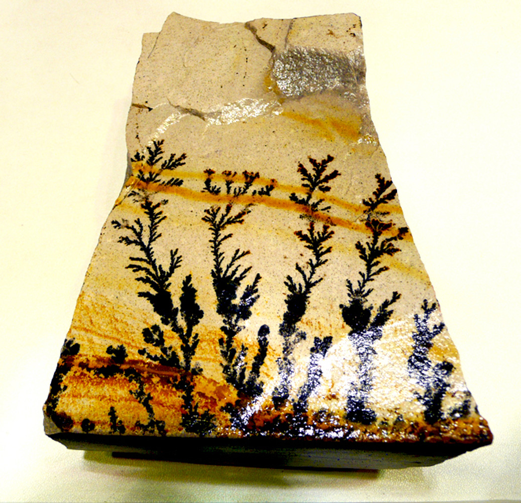 pirolusita dendritica